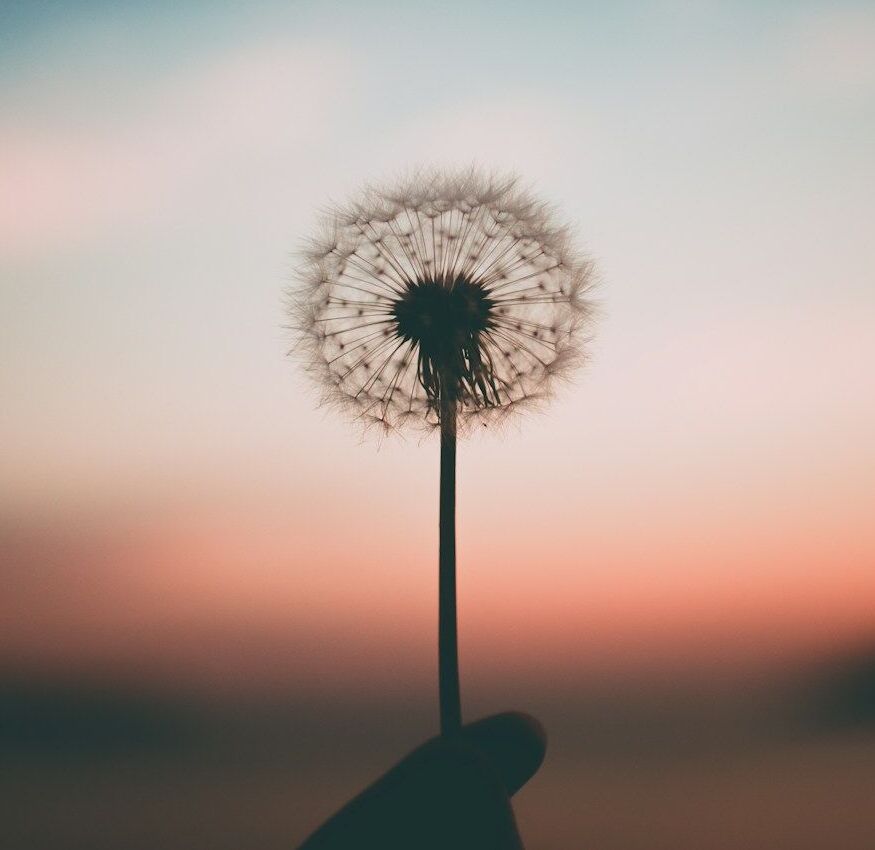 Peace